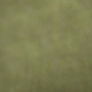 Meet your Posher, Niqua